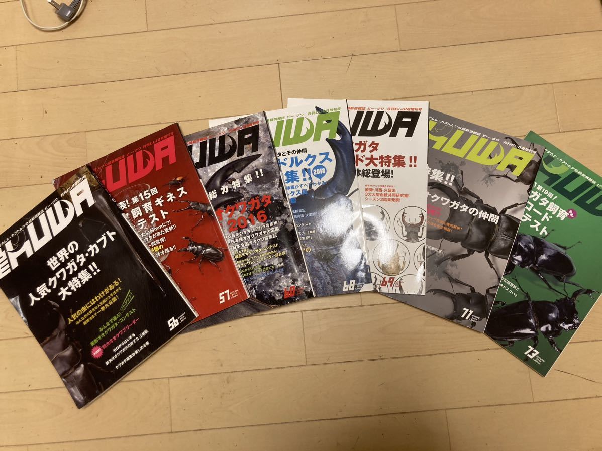 BEKUWA ビークワ 7冊セット BEKUWA など7冊 ビークワ（本・雑誌
