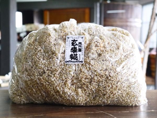 おたまや】玄米麹 生麹（5kg） 【公式通販】