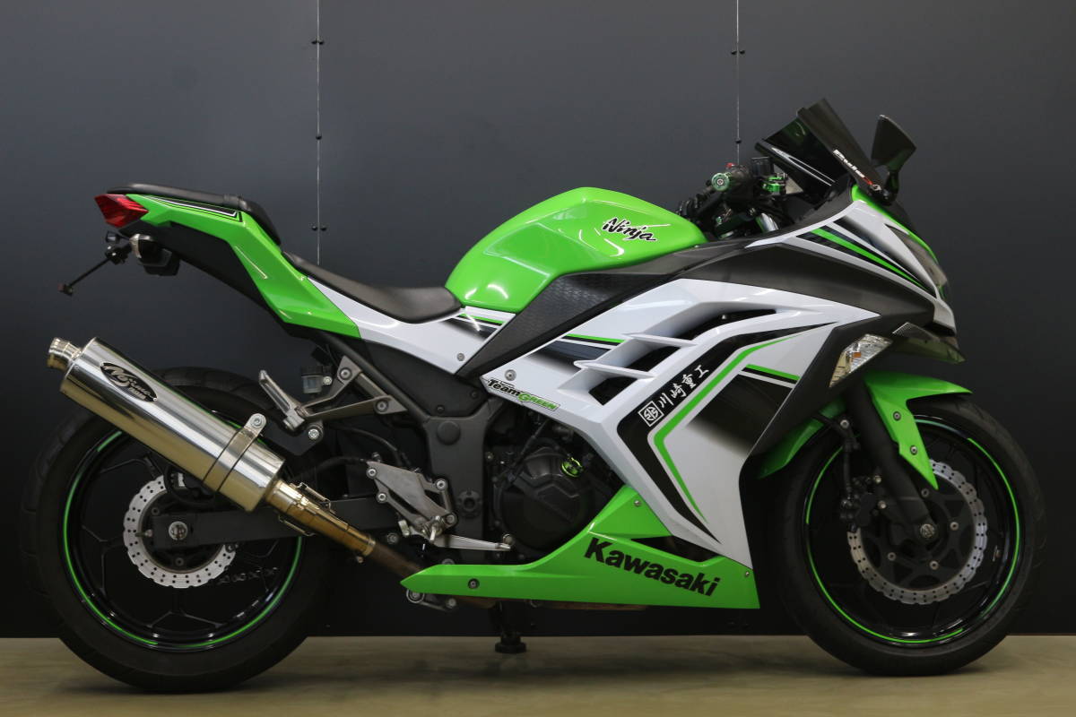 KAWASAKI NINJA ニンジャ 250(EX250L)スペシャルED グリーン/ホワイト 