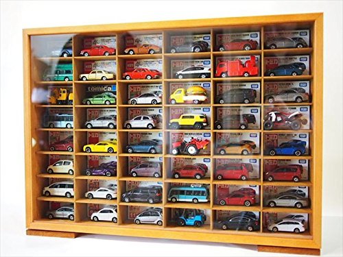 「即決」 MNオリジナルハウス 割れにくい前面アクリル扉EU-RVトミカ48台コレクションケースW