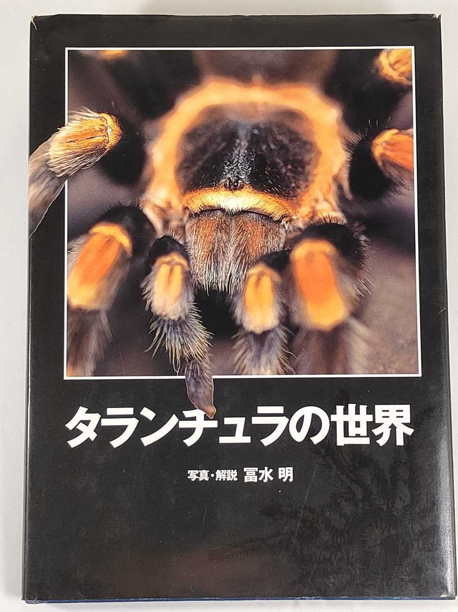 タランチュラの世界／富水明(昆虫)｜売買されたオークション情報 
