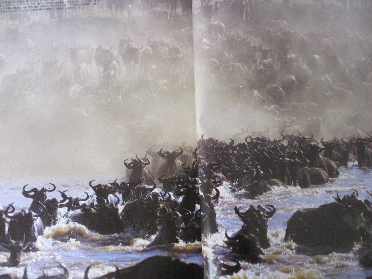 シンラ SINRA 1994年1月創刊号～12月号 迄 1年分12冊セット