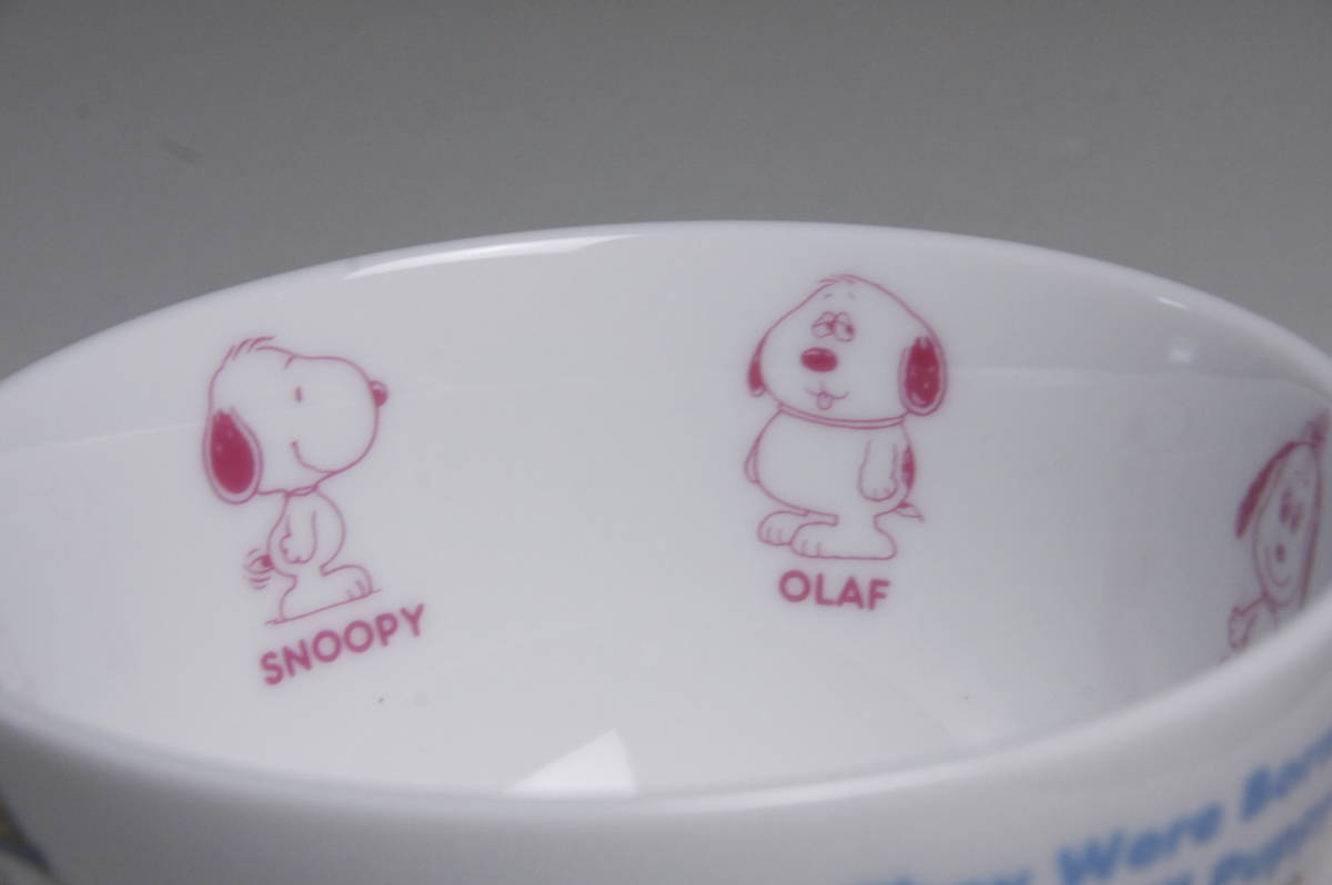 スヌーピータウンショップ オリジナル 日本上陸50周年 「DAISY HILL PUPPIES」 ボウル　送料無料　PEANUTS きょうだい 限定品　箱あり