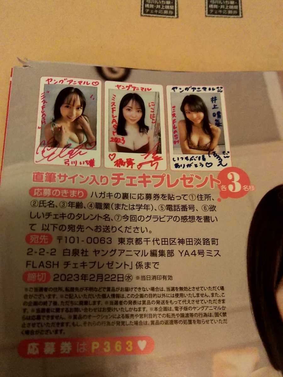 東雲うみ 弓川いち華 橘舞 井上晴菜 ☆直筆サイン入りチェキ応募券 4枚