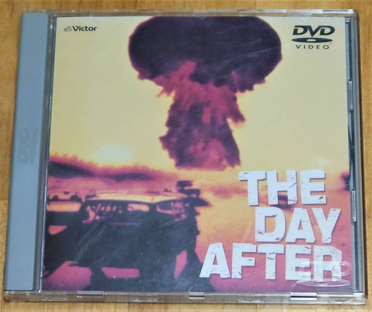 ザ・デイ・アフター　THE DAY AFTER　美品