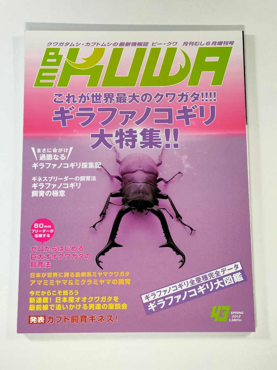 激レア ビーファイターカブト 結集 回りくどい 昆虫戦士8 ビー 