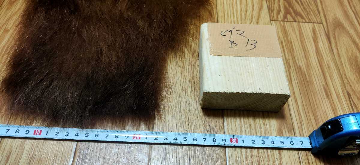 ○マタギ○ヒグマの尻皮（B13） クマ 尻当て 尻あて (熊 羆 腰当て 腰
