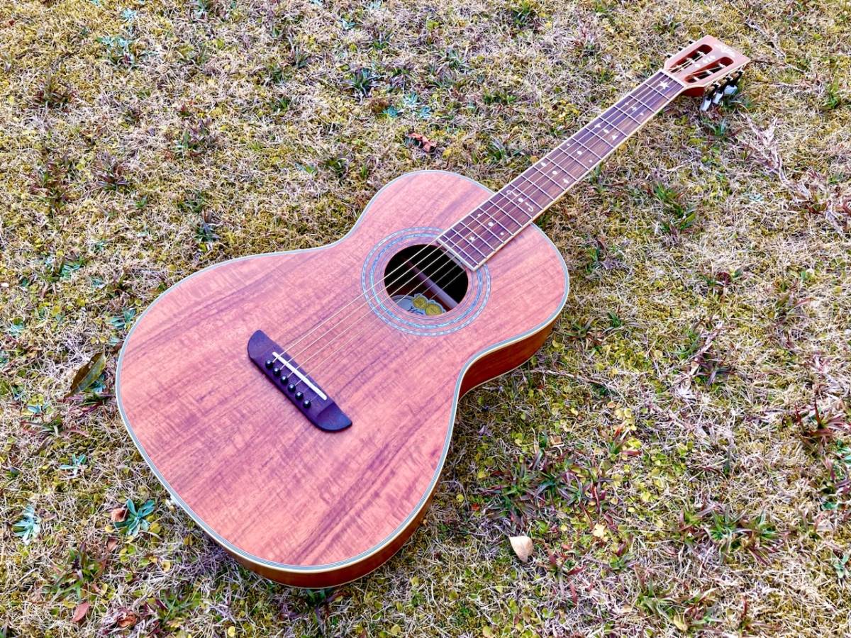 1920'sスタイル！コアボディー！Washburn WP55NS パーラーギター