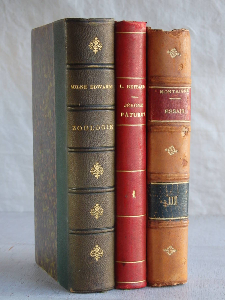 フランスアンティーク 3冊セット 1849年～ 19世紀 洋書 古書 本 ブック