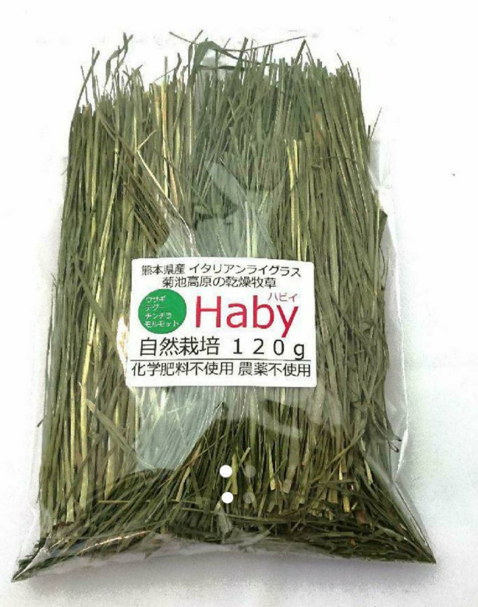 送料無料 不加熱 半乾燥イタリアンライグラス 120g 農薬不使用 2023年収穫_1