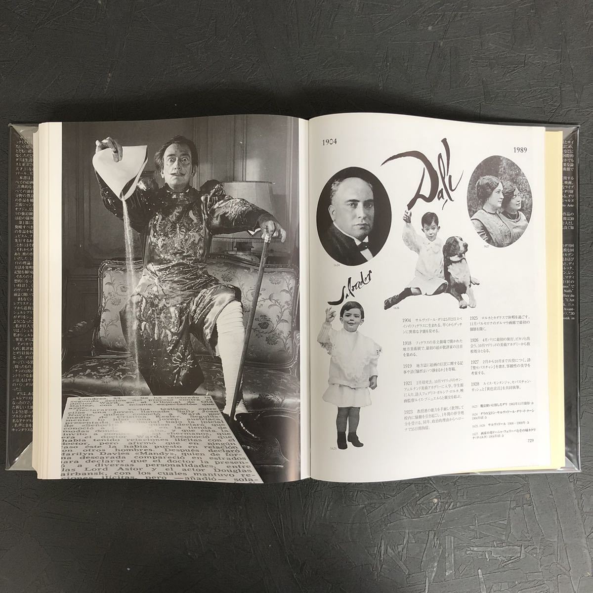 ダリ全画集 (25周年) DALI ダリ全画集 ロベール・デシャルヌ/ジル