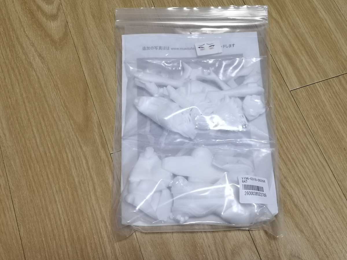 TFO10 対魔忍アサギ 井河 さくら muscuto 未塗装 ガレージキット