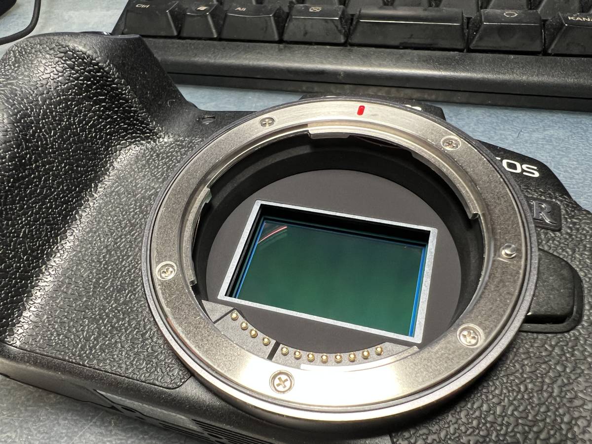 EOS RP CANON ボディ おまけ付き 公式通販 Canon ミラーレス一眼