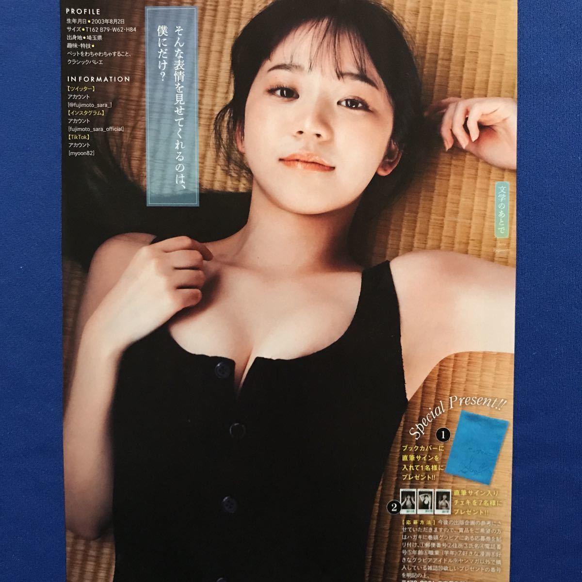 ヤンマガ20号 小嶋陽菜 サイン入りチェキとQUOカード応募券各3枚(少年