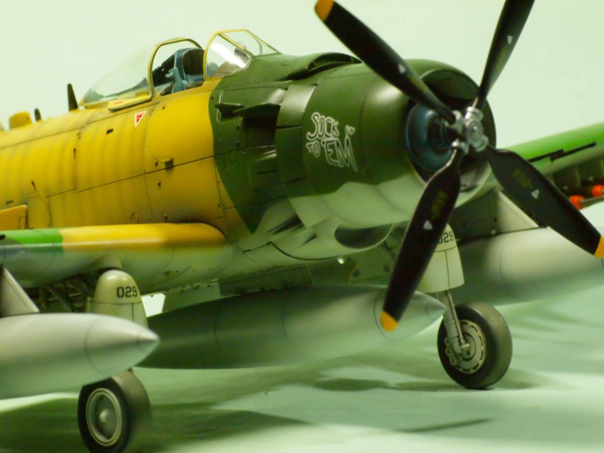 1⁄48 タミヤ スカイレイダー スカイレーダーの通販 スカイ hobby 完成