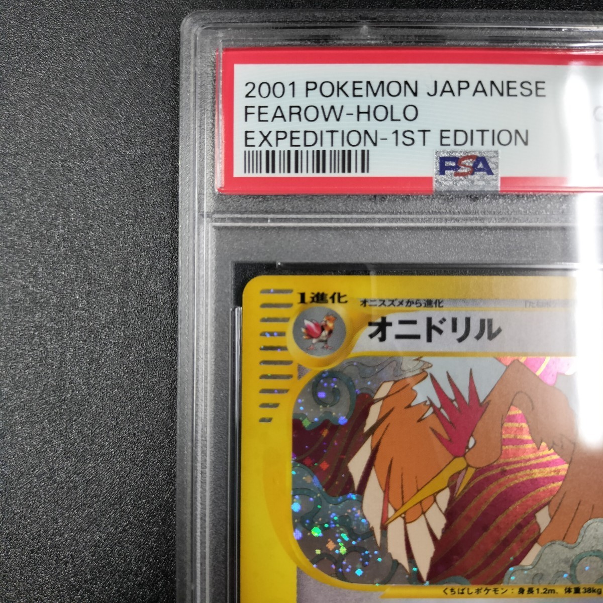 PSA10 オニドリル ポケモンカードe