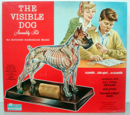 セール品○ RENWAL レンウォール／ ビジブルドック　オリジナル　M806-398