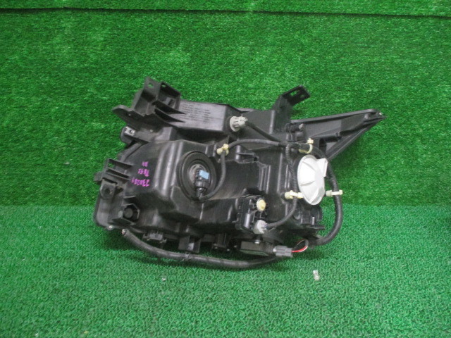 TE52 日産 エルグランド 平成23年 カラーNO.LAE HID用 レンズNO.100