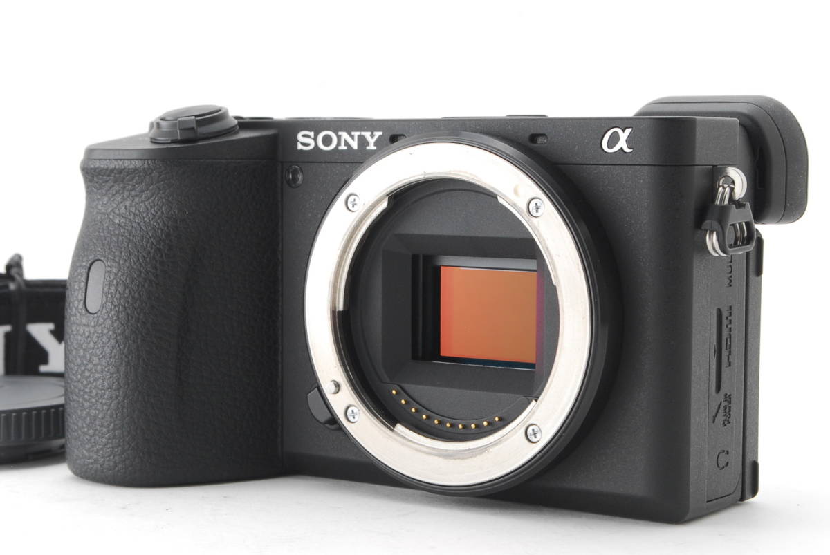 SONY α6600 ILCE-6600 ボディ ブラック動作も写りもOKです。概ねキレイ 