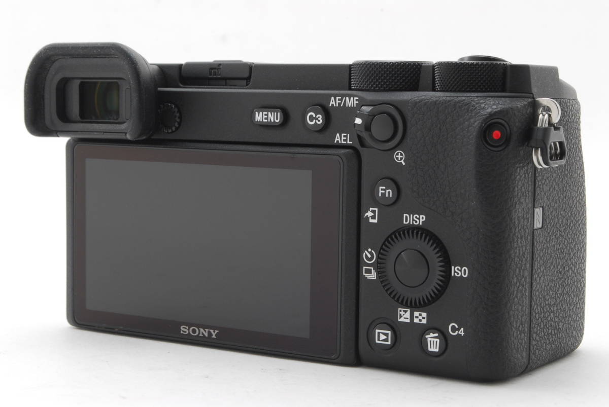 SONY α6600 ILCE-6600 ボディ ブラック動作も写りもOKです。概ねキレイ 
