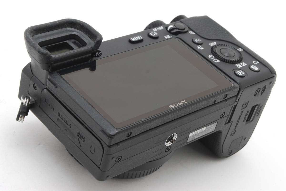 SONY α6600 ILCE-6600 ボディ ブラック動作も写りもOKです。概ねキレイ 