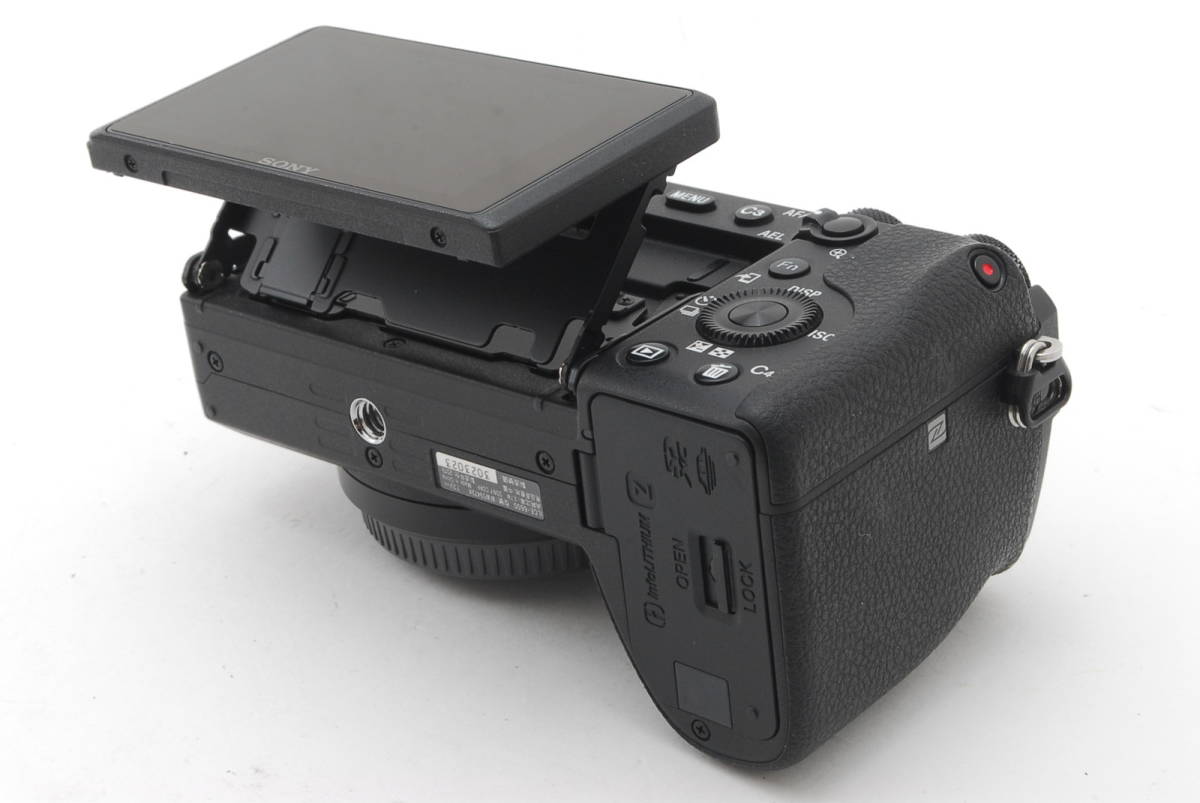 SONY α6600 ILCE-6600 ボディ ブラック動作も写りもOKです。概ねキレイ 