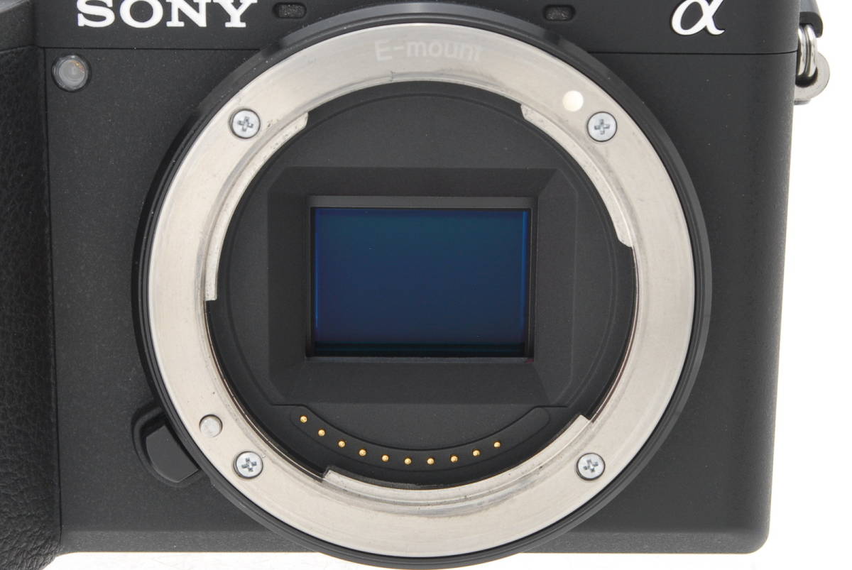 SONY α6600カメラボディのみ ソニー α6600 ボディ [ILCE-6600 
