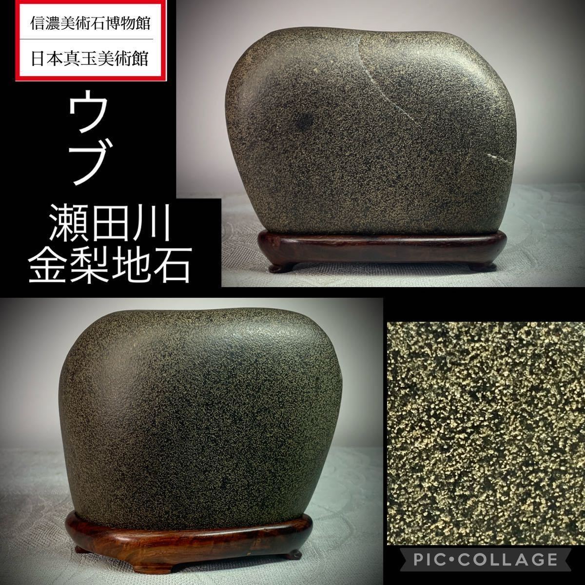 信濃美術石博物館】水石盆栽 瀬田川金梨地石 ウブ 横12×高11×奥行5(cm 