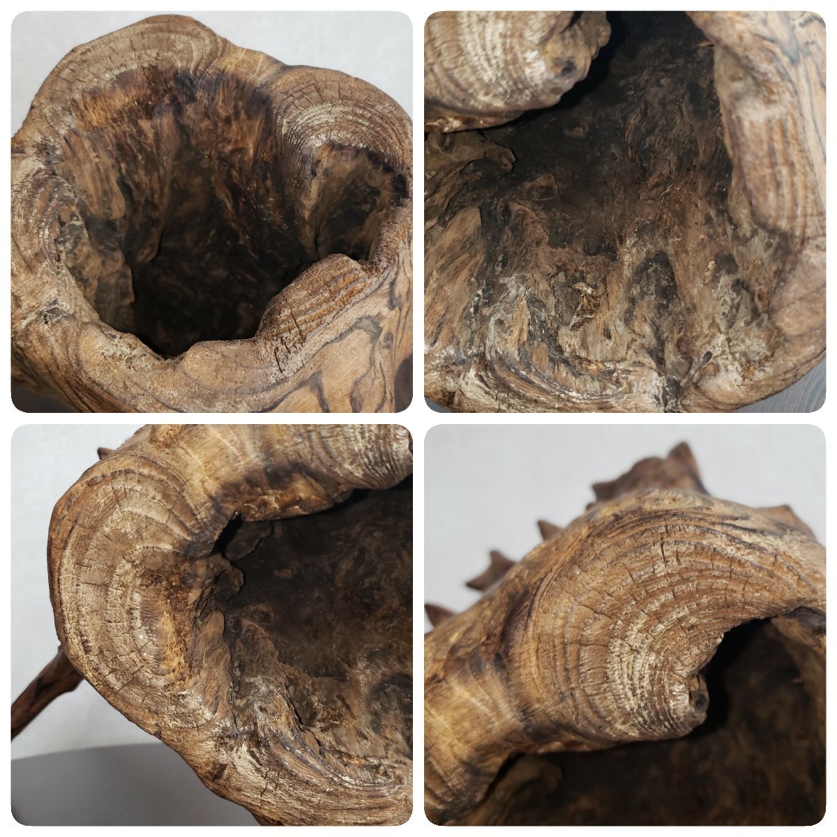 根木 天然木 高さ約52cm 自然木 流木 変木 根っこ 置物 逸品 床の間