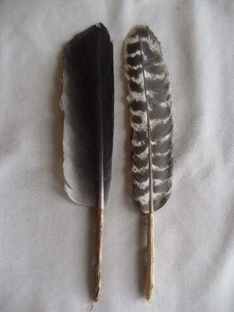 茶道具 羽箒 炉・風炉用 三ッ羽根 唐国鳥? 他全2点