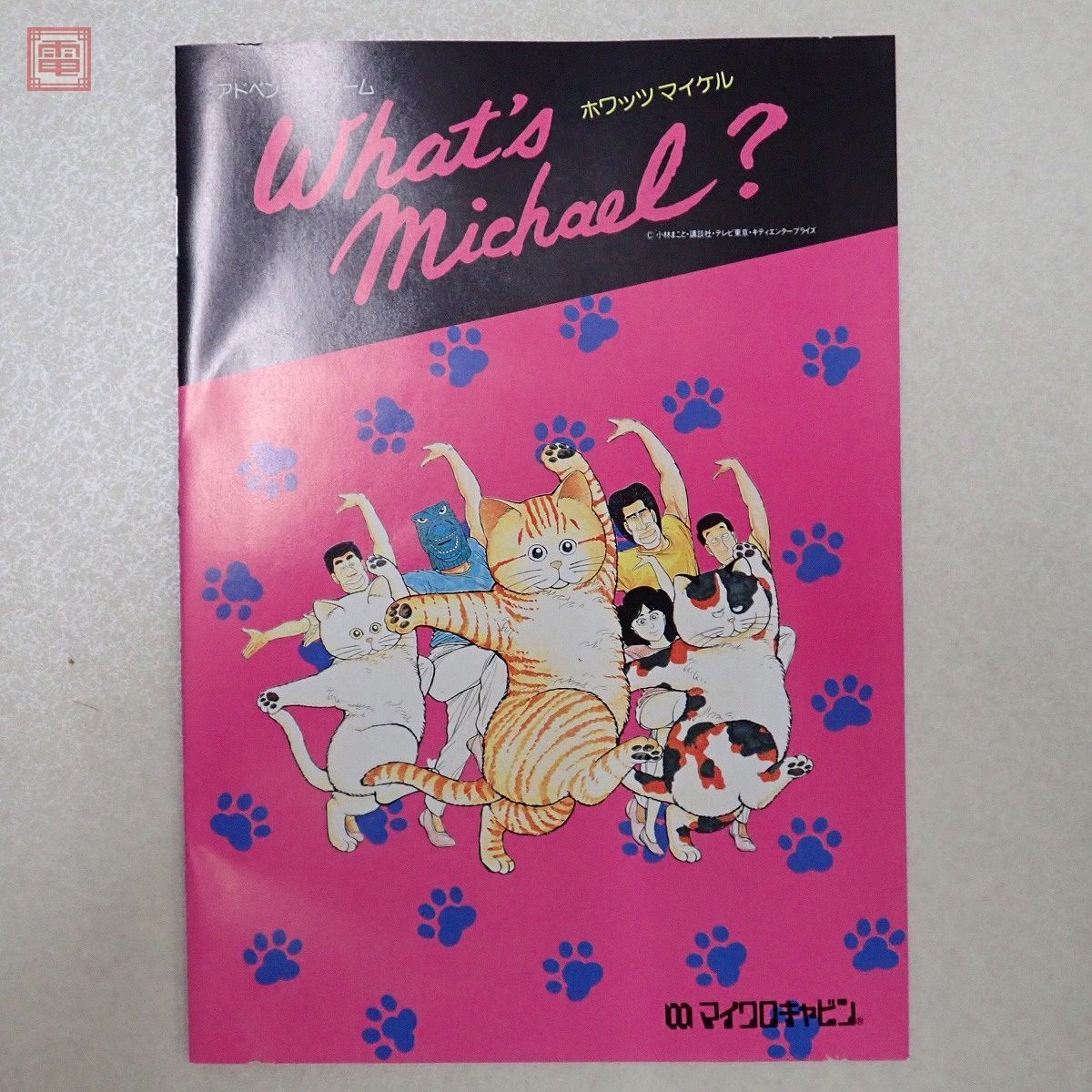 箱欠品 PC-9801 5インチFD What's Michael ホワッツマイケル マイクロ