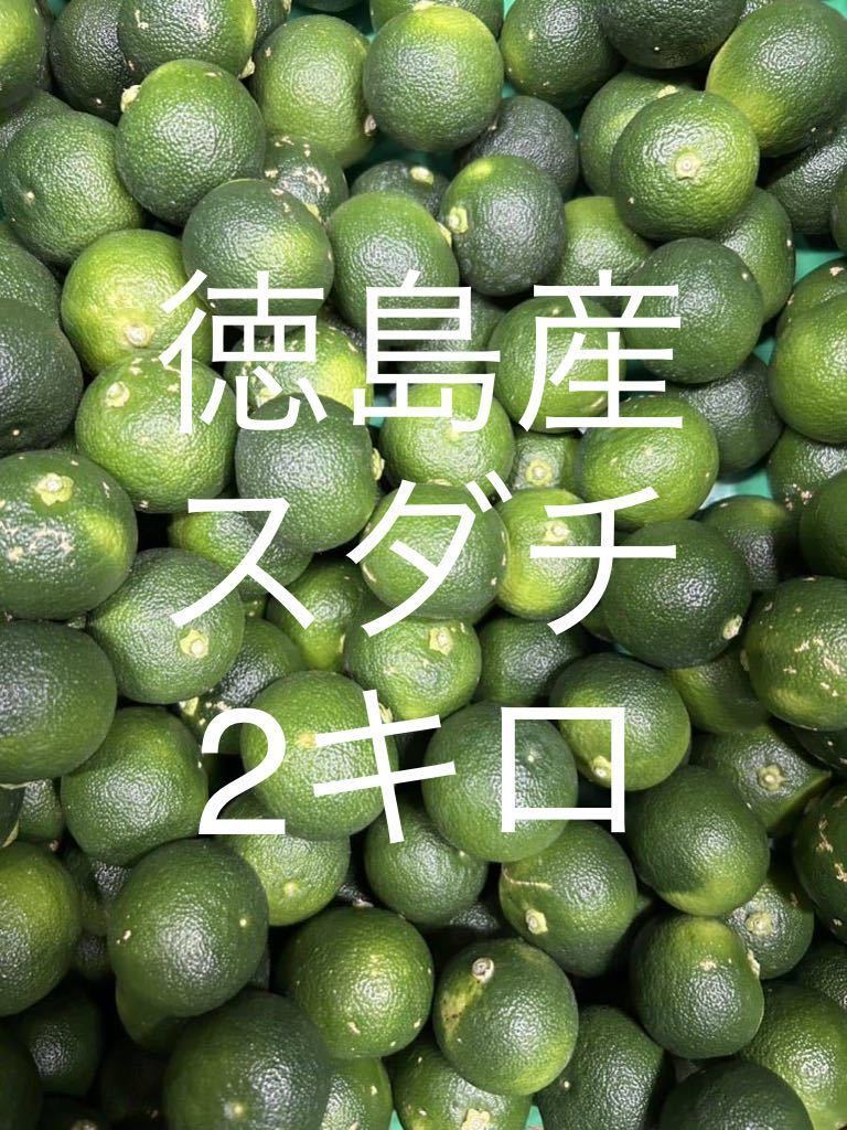 食品 露地スダチ(二級品) 箱込み10kg
