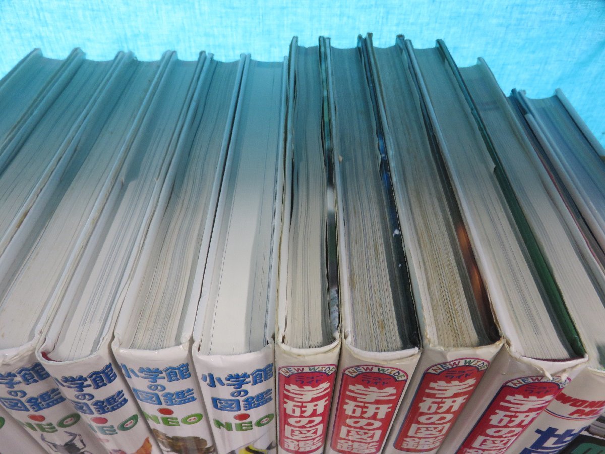図鑑】《まとめて13点セット》小学館の図鑑NEO/学研の図鑑/講談社の 