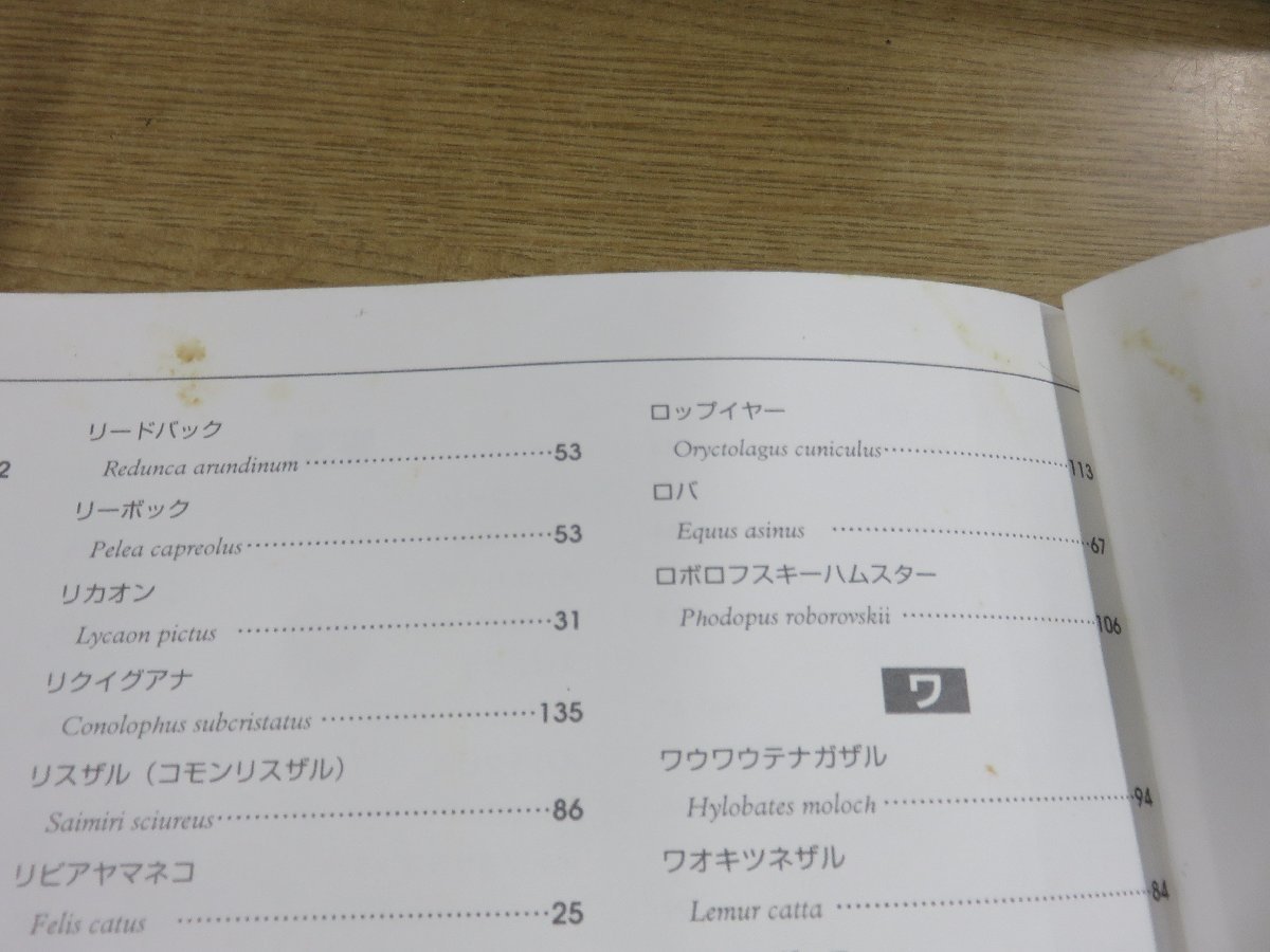図鑑《まとめて13点セット》小学館の図鑑NEO⁄講談社の動く図鑑 小学館 