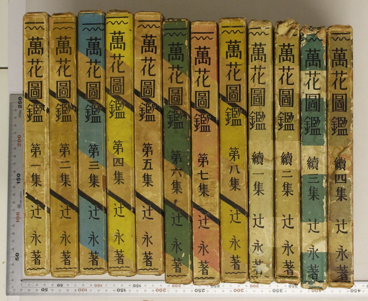 牧野富太郎 植物記 全2巻セット 桜井書店版/バベル社/正・続 植物記(全