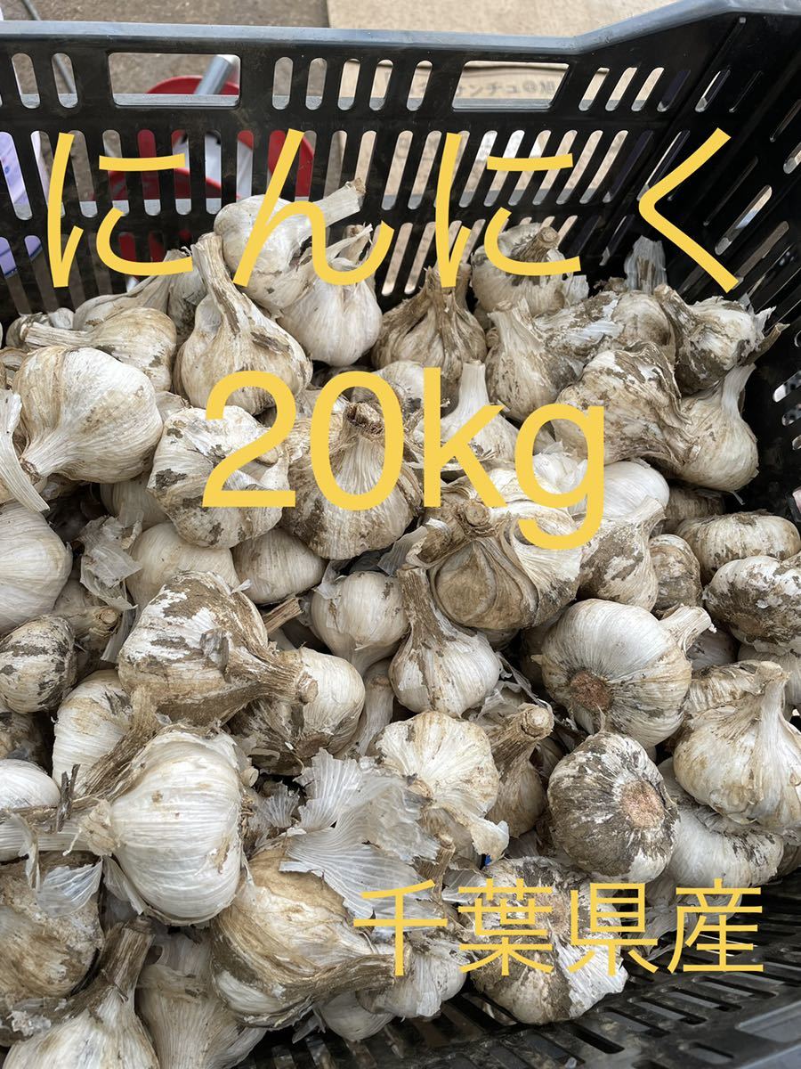 千葉県産 にんにく 20キロ 【公式通販】