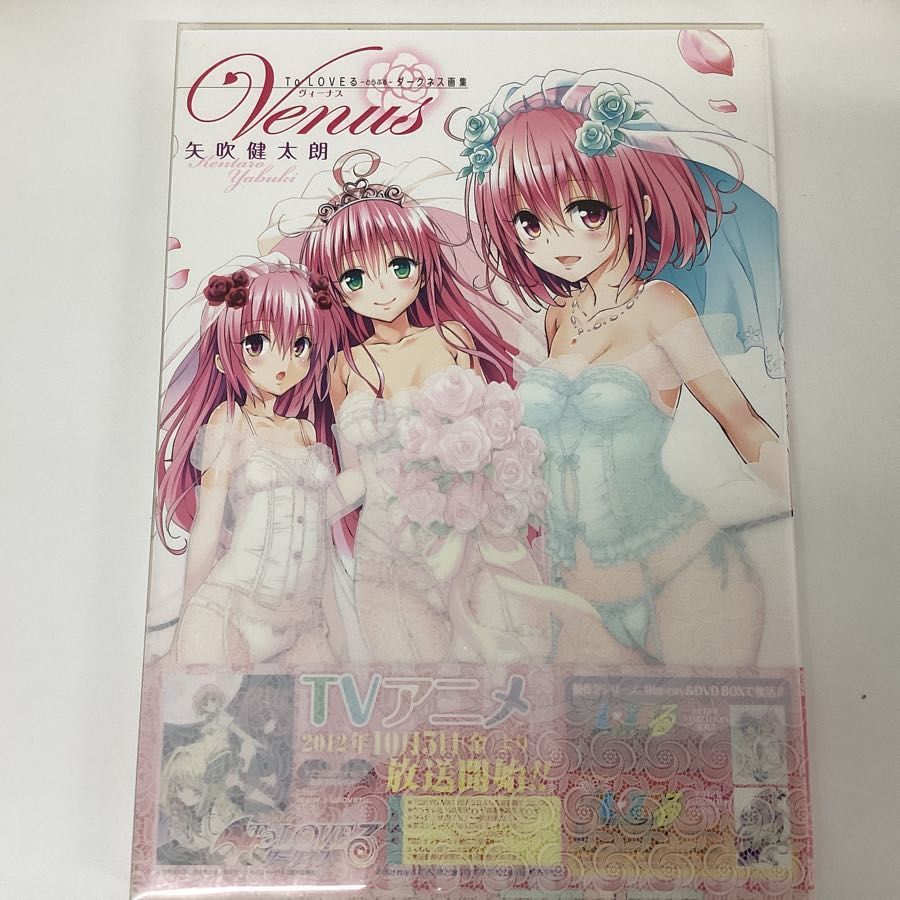 ToLOVEる原画展 凱旋 闇 等身大布ポスター Japanese anime 等身大布