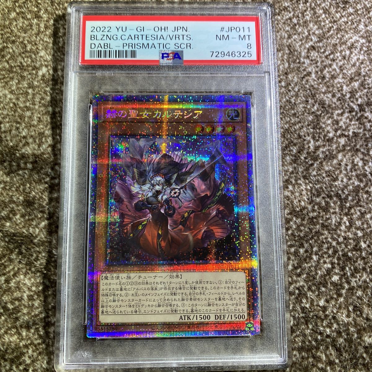 白カケなし 遊戯王 教導の聖女エクレシア psa9 赫の聖女カルテシア 