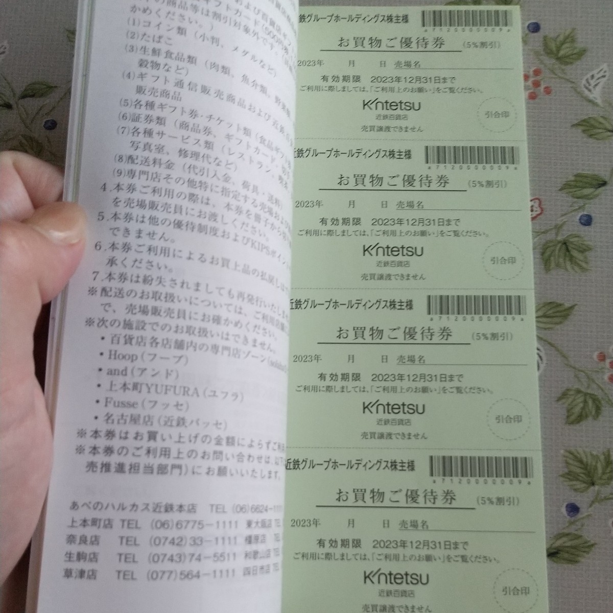 最新】 近鉄 株主優待 乗車券 2枚 株主優待冊子付 志摩スペイン村 