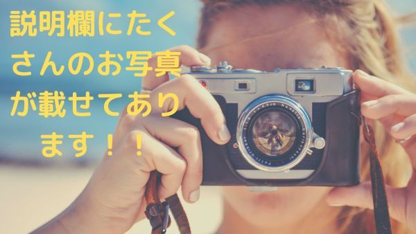 Nikon F2 Chrome DP-1 フォトミック ニコン #640 F2 Nikon フォト