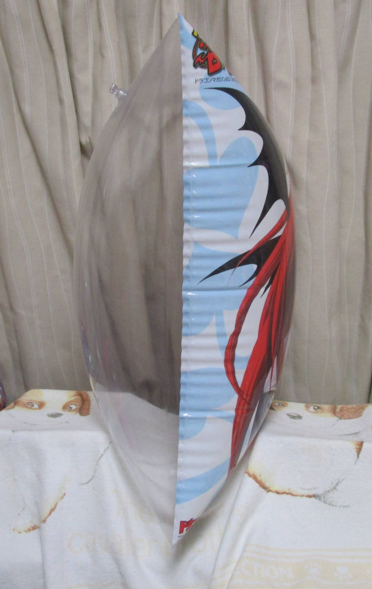 海外製 恐竜 フロート 空気ビニール 未使用 ドラゴングリーン フロート