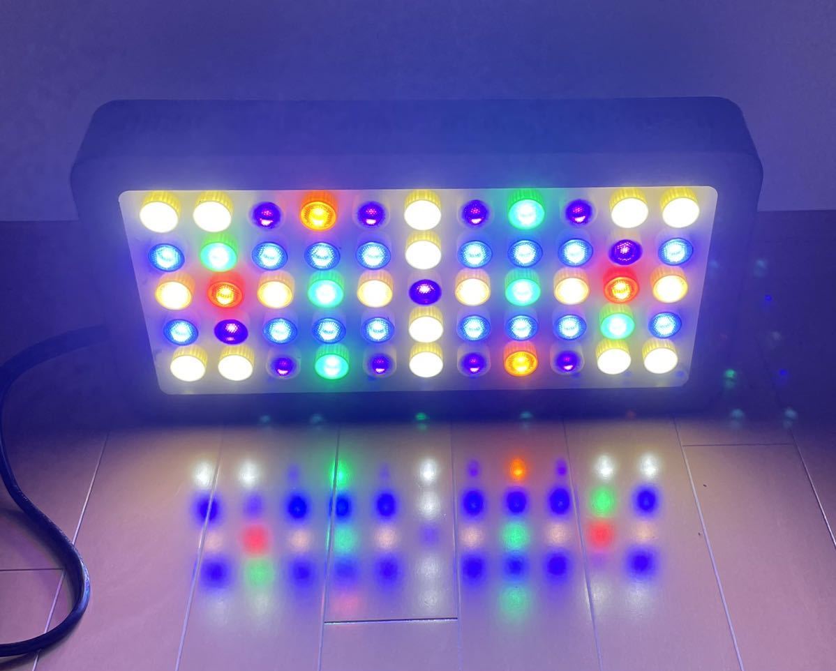 ブラックボックス　海水魚 サンゴ水槽 プリズムレンズ UV LEDライト フルスペック 