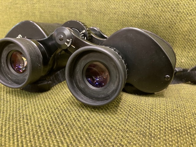 【YJS-1】Nikon ニコン 10X35 6.6° WF 双眼鏡 ジャンク 6.6° WF 双眼鏡 Nikon(ニコン) 6.6°WF 広角