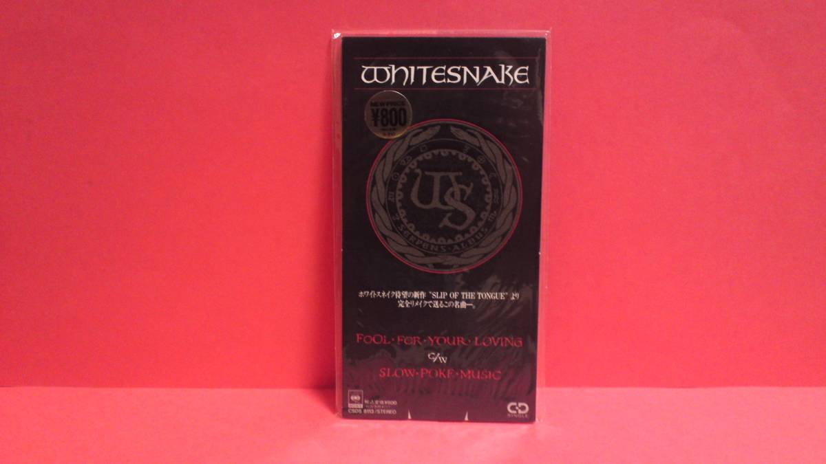 Fool ⁄ Your Whitesnake Loving For : ホワイトスネイク for | フール 