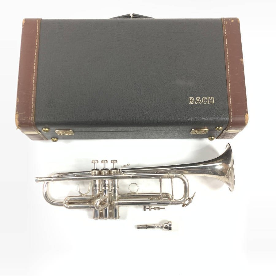 Bach Vincent ケース付き 安かろ