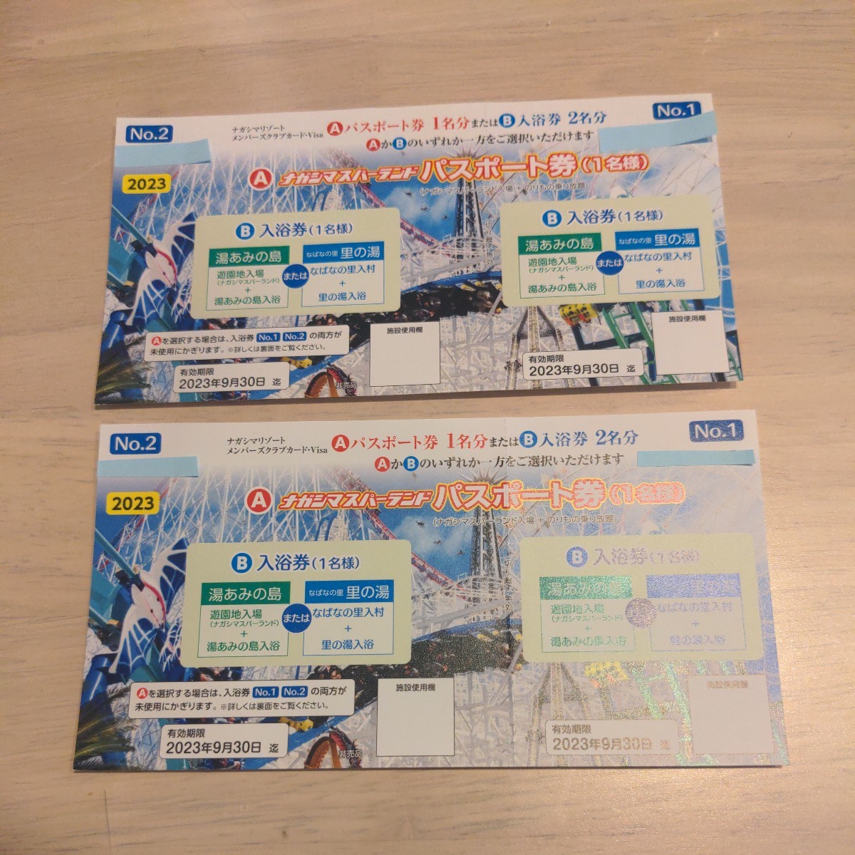 ナガシマスパーランド パスポート のりもの ペア