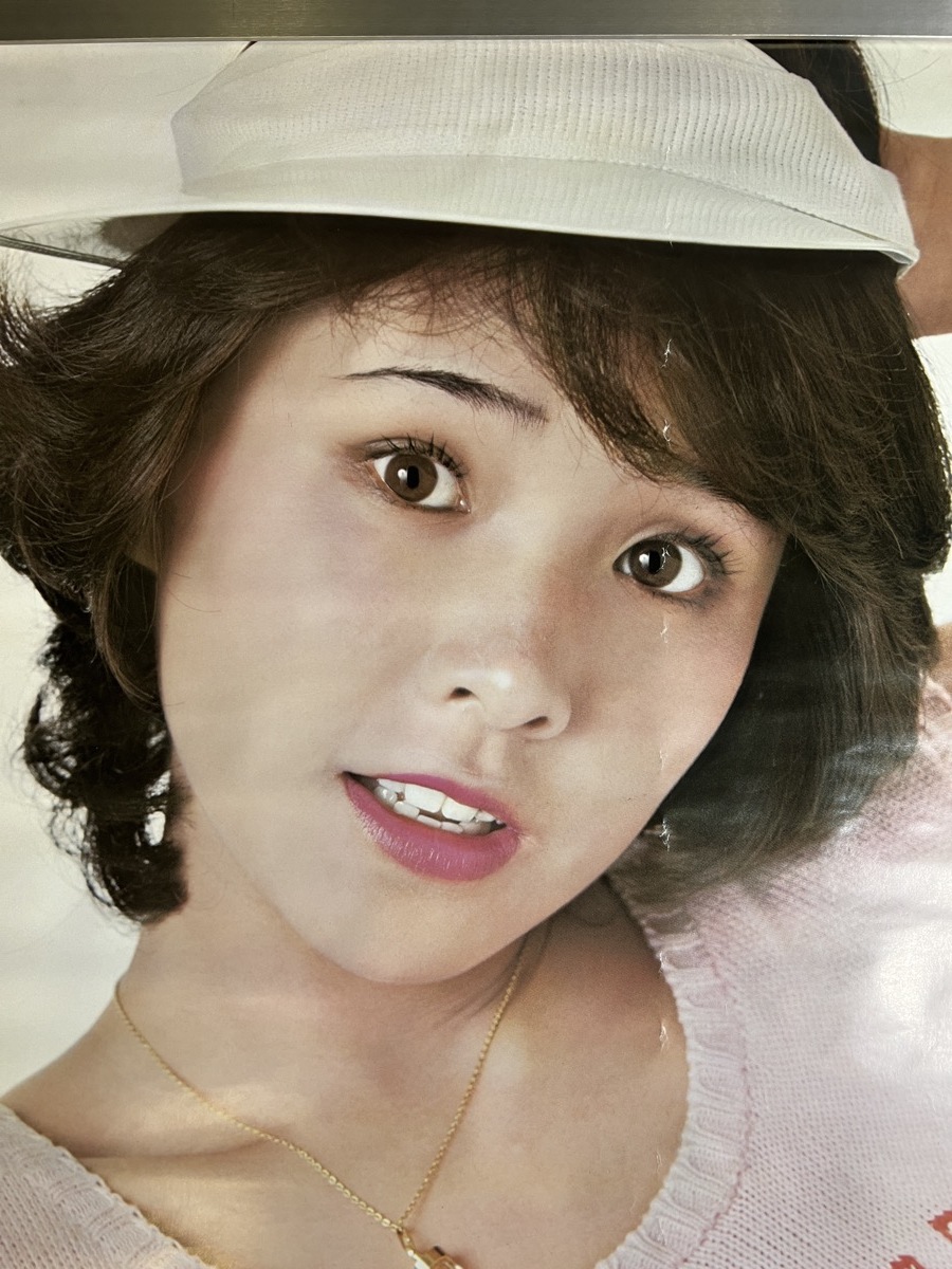 古いポスター 松本ちえこ キャニオン レコード ポスター の入札履歴