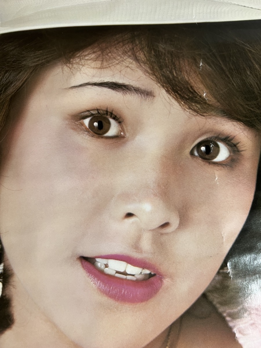 古いポスター 松本ちえこ キャニオン レコード ポスター の入札履歴