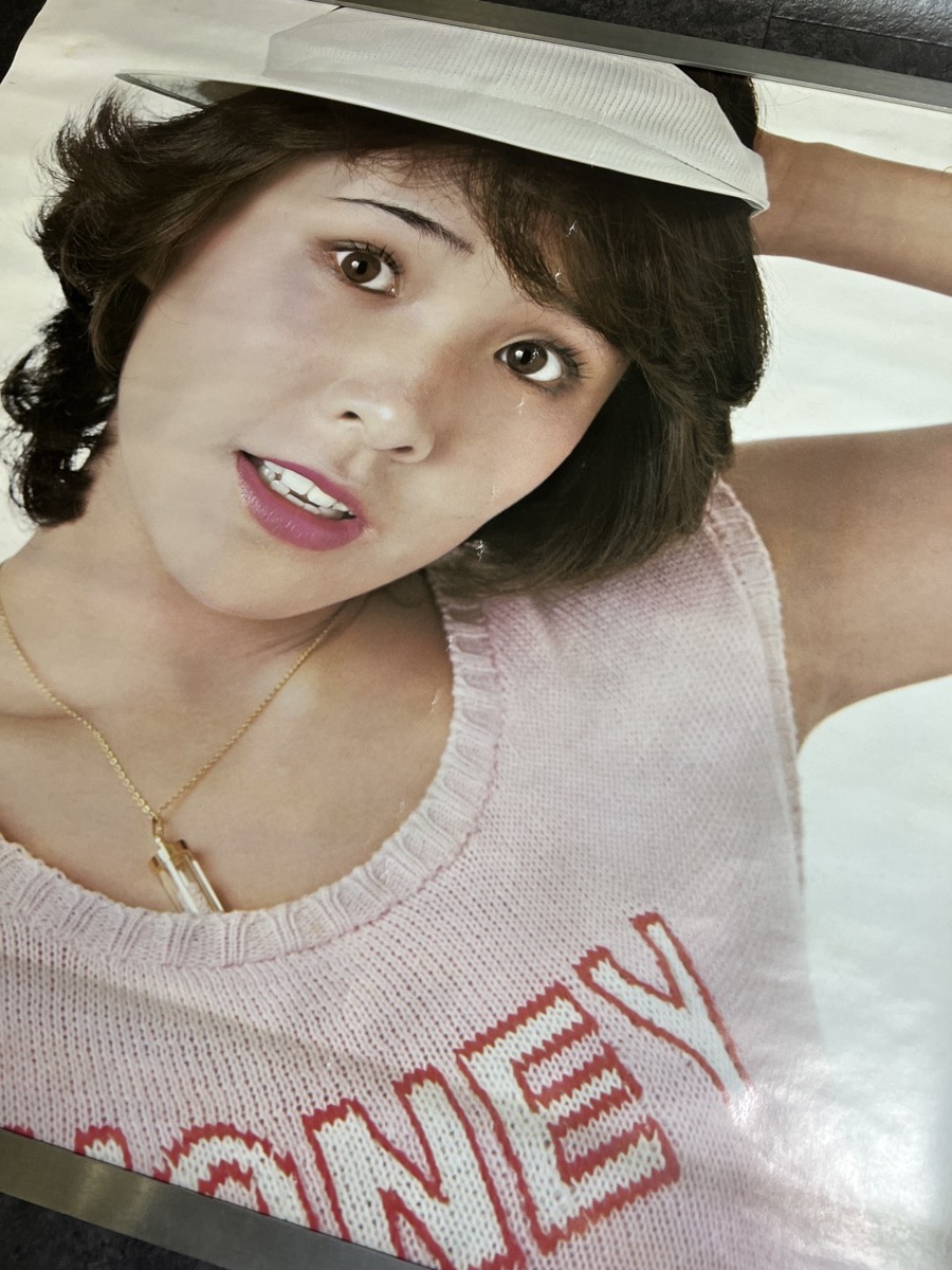 古いポスター 松本ちえこ キャニオン レコード ポスター の入札履歴