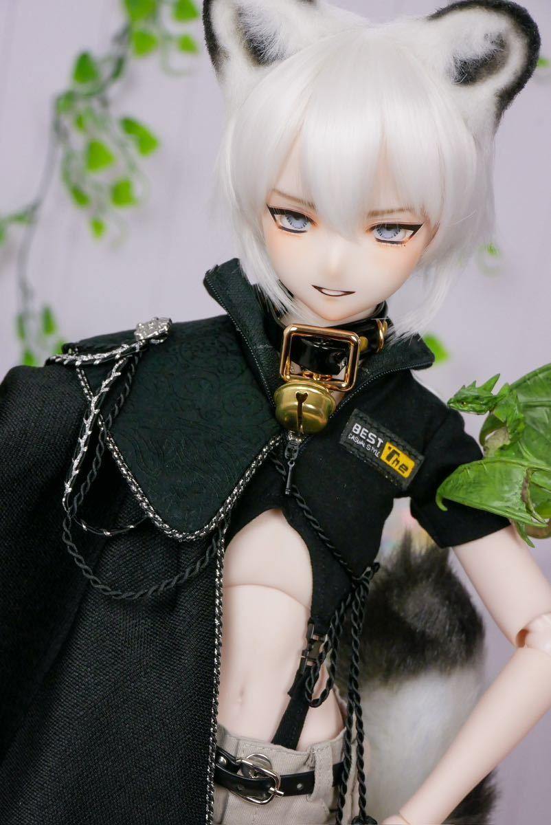 DDH-09 SW肌 カスタムヘッド アイ ドルフィードリーム DD（中古】きよ  